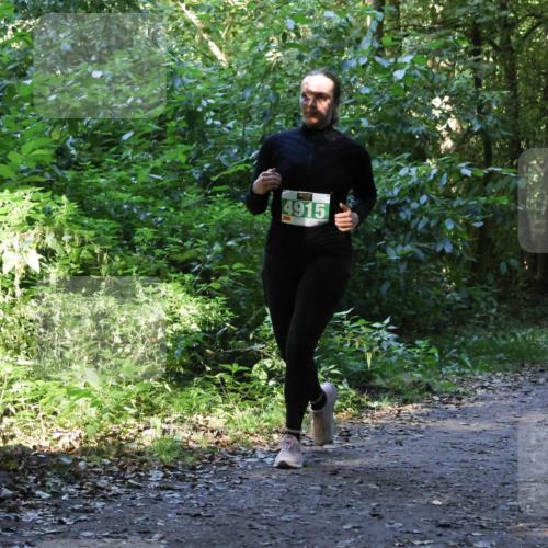 28.09.2025 - 33. Volkslauf durch das schöne Alstertal Strokosch-Dieckow http://msf.ph/oto/8968484 28.09.2025 11:02:31 Laufen 4915 meine-sportfotos.de