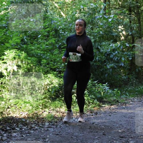 28.09.2025 - 33. Volkslauf durch das schöne Alstertal Strokosch-Dieckow http://msf.ph/oto/8968487 28.09.2025 11:02:31 Laufen 4915 meine-sportfotos.de