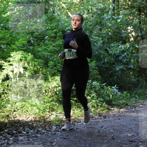 28.09.2025 - 33. Volkslauf durch das schöne Alstertal Strokosch-Dieckow http://msf.ph/oto/8968490 28.09.2025 11:02:31 Laufen 4915 meine-sportfotos.de