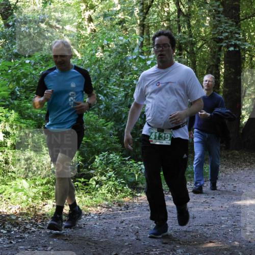 28.09.2025 - 33. Volkslauf durch das schöne Alstertal Strokosch-Dieckow http://msf.ph/oto/8968495 28.09.2025 11:02:46 Laufen 4139 meine-sportfotos.de