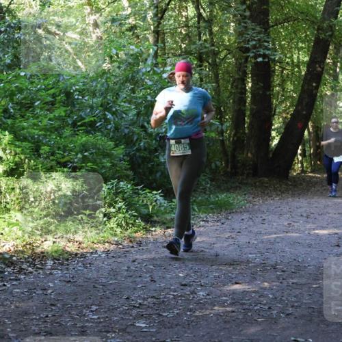 28.09.2025 - 33. Volkslauf durch das schöne Alstertal Strokosch-Dieckow http://msf.ph/oto/8968496 28.09.2025 11:02:58 Laufen 4085 meine-sportfotos.de