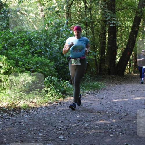 28.09.2025 - 33. Volkslauf durch das schöne Alstertal Strokosch-Dieckow http://msf.ph/oto/8968497 28.09.2025 11:02:58 Laufen 4085 meine-sportfotos.de