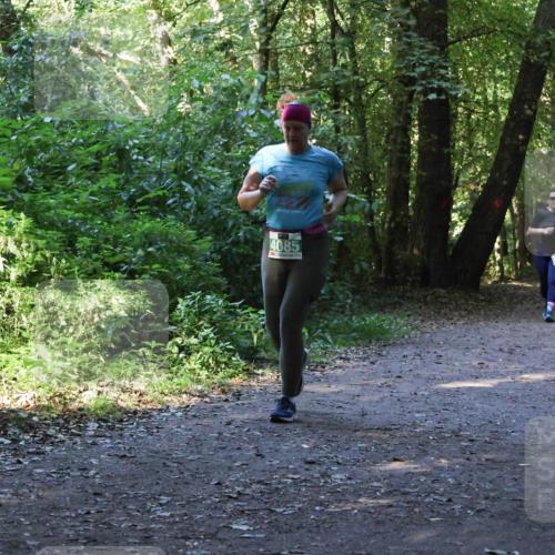 28.09.2025 - 33. Volkslauf durch das schöne Alstertal Strokosch-Dieckow http://msf.ph/oto/8968498 28.09.2025 11:02:58 Laufen 4085 meine-sportfotos.de