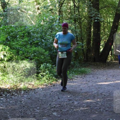 28.09.2025 - 33. Volkslauf durch das schöne Alstertal Strokosch-Dieckow http://msf.ph/oto/8968499 28.09.2025 11:02:58 Laufen 4085 meine-sportfotos.de