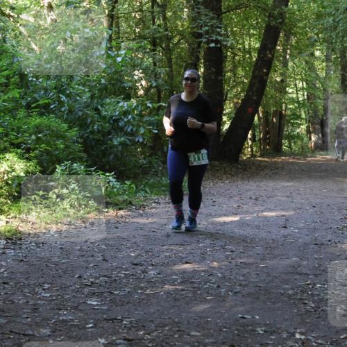 28.09.2025 - 33. Volkslauf durch das schöne Alstertal Strokosch-Dieckow http://msf.ph/oto/8968501 28.09.2025 11:03:03 Laufen 4110 meine-sportfotos.de