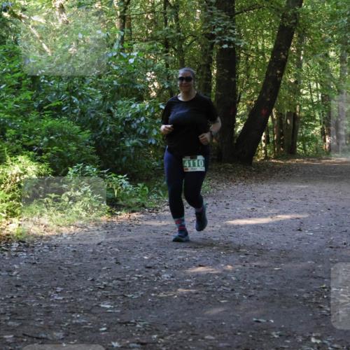 28.09.2025 - 33. Volkslauf durch das schöne Alstertal Strokosch-Dieckow http://msf.ph/oto/8968505 28.09.2025 11:03:03 Laufen 4110 meine-sportfotos.de