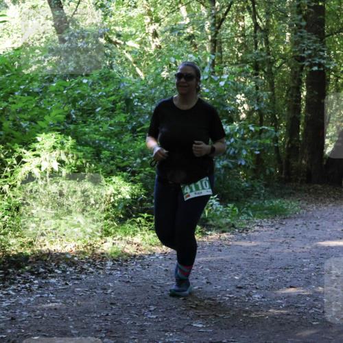 28.09.2025 - 33. Volkslauf durch das schöne Alstertal Strokosch-Dieckow http://msf.ph/oto/8968507 28.09.2025 11:03:04 Laufen 4110 meine-sportfotos.de