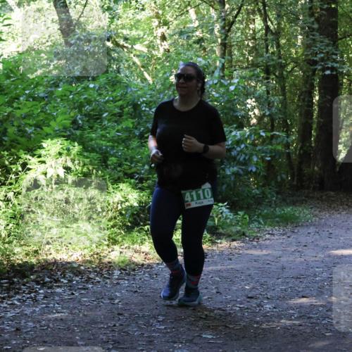 28.09.2025 - 33. Volkslauf durch das schöne Alstertal Strokosch-Dieckow http://msf.ph/oto/8968508 28.09.2025 11:03:05 Laufen 4110 meine-sportfotos.de