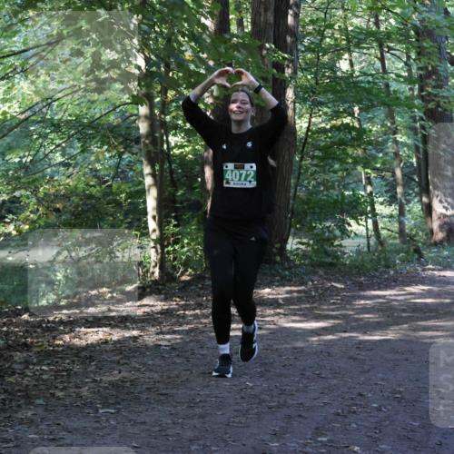 28.09.2025 - 33. Volkslauf durch das schöne Alstertal Strokosch-Dieckow http://msf.ph/oto/8968527 28.09.2025 11:04:02 Laufen 4072 meine-sportfotos.de