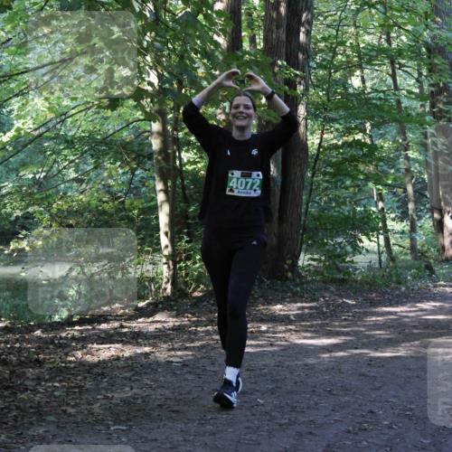 28.09.2025 - 33. Volkslauf durch das schöne Alstertal Strokosch-Dieckow http://msf.ph/oto/8968531 28.09.2025 11:04:02 Laufen 4072 meine-sportfotos.de