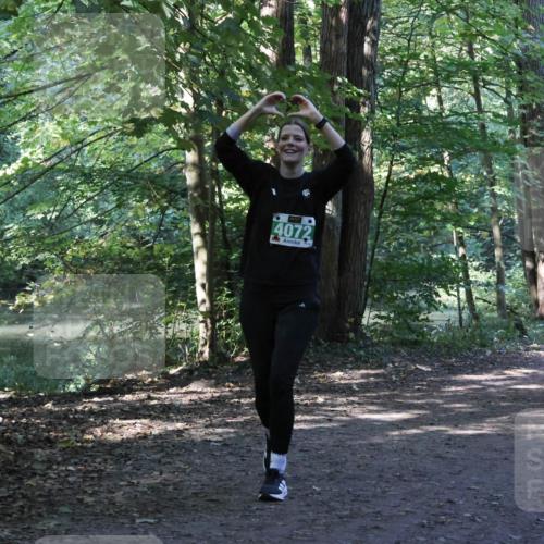 28.09.2025 - 33. Volkslauf durch das schöne Alstertal Strokosch-Dieckow http://msf.ph/oto/8968532 28.09.2025 11:04:02 Laufen 4072 meine-sportfotos.de