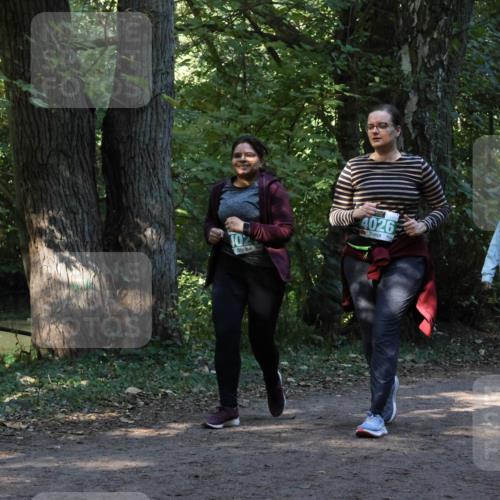 28.09.2025 - 33. Volkslauf durch das schöne Alstertal Strokosch-Dieckow http://msf.ph/oto/8968539 28.09.2025 11:05:13 Laufen 402, 4026 meine-sportfotos.de