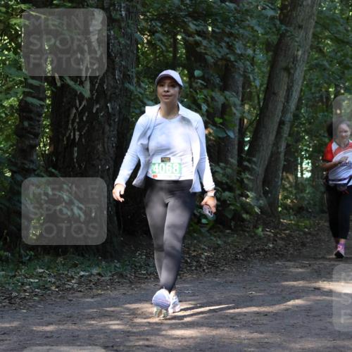 28.09.2025 - 33. Volkslauf durch das schöne Alstertal Strokosch-Dieckow http://msf.ph/oto/8968542 28.09.2025 11:05:26 Laufen 4068 meine-sportfotos.de