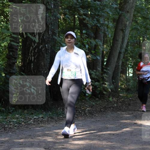 28.09.2025 - 33. Volkslauf durch das schöne Alstertal Strokosch-Dieckow http://msf.ph/oto/8968543 28.09.2025 11:05:26 Laufen 4068, 3173 meine-sportfotos.de
