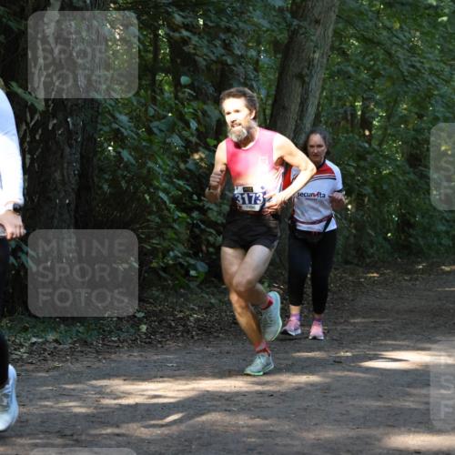 28.09.2025 - 33. Volkslauf durch das schöne Alstertal Strokosch-Dieckow http://msf.ph/oto/8968546 28.09.2025 11:05:27 Laufen 4068, 3173 meine-sportfotos.de