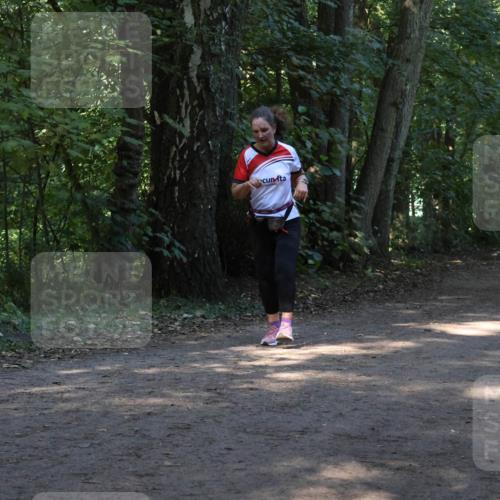 28.09.2025 - 33. Volkslauf durch das schöne Alstertal Strokosch-Dieckow http://msf.ph/oto/8968550 28.09.2025 11:05:30 Laufen  meine-sportfotos.de