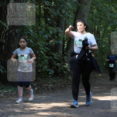 28.09.2025 - 33. Volkslauf durch das schöne Alstertal Strokosch-Dieckow http://msf.ph/oto/8968555 28.09.2025 11:05:52 Laufen 4097, 409, 4145 meine-sportfotos.de