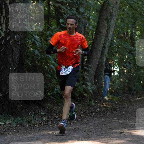 28.09.2025 - 33. Volkslauf durch das schöne Alstertal Strokosch-Dieckow http://msf.ph/oto/8968574 28.09.2025 11:08:18 Laufen 3384 meine-sportfotos.de