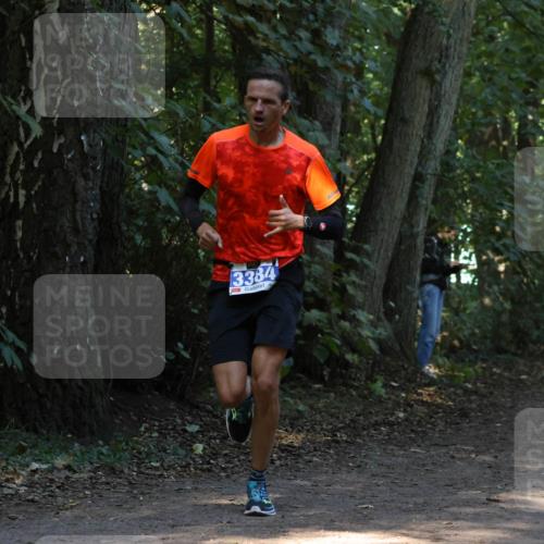 28.09.2025 - 33. Volkslauf durch das schöne Alstertal Strokosch-Dieckow http://msf.ph/oto/8968576 28.09.2025 11:08:18 Laufen 3384 meine-sportfotos.de