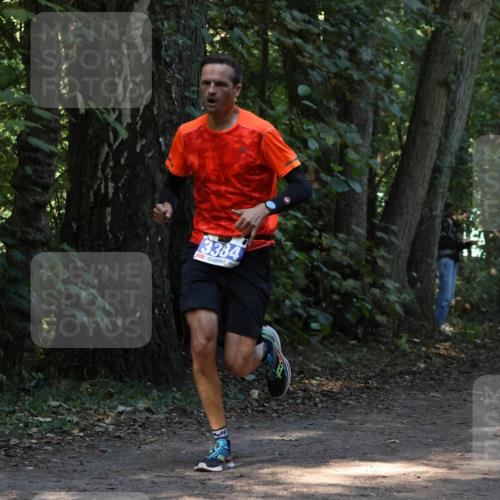 28.09.2025 - 33. Volkslauf durch das schöne Alstertal Strokosch-Dieckow http://msf.ph/oto/8968581 28.09.2025 11:08:19 Laufen 3384 meine-sportfotos.de