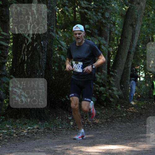 28.09.2025 - 33. Volkslauf durch das schöne Alstertal Strokosch-Dieckow http://msf.ph/oto/8968583 28.09.2025 11:08:37 Laufen 3902 meine-sportfotos.de