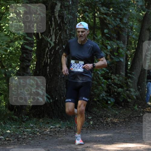 28.09.2025 - 33. Volkslauf durch das schöne Alstertal Strokosch-Dieckow http://msf.ph/oto/8968588 28.09.2025 11:08:38 Laufen 3902 meine-sportfotos.de