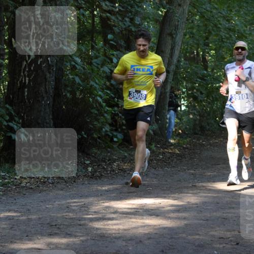 28.09.2025 - 33. Volkslauf durch das schöne Alstertal Strokosch-Dieckow http://msf.ph/oto/8968591 28.09.2025 11:09:18 Laufen 3908, 3910 meine-sportfotos.de