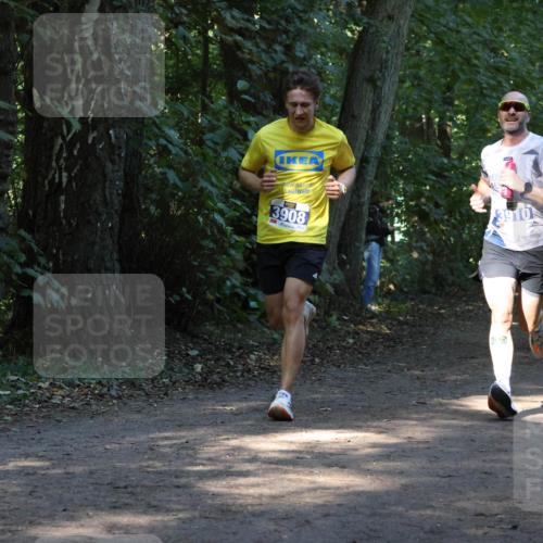 28.09.2025 - 33. Volkslauf durch das schöne Alstertal Strokosch-Dieckow http://msf.ph/oto/8968592 28.09.2025 11:09:18 Laufen 3908, 3910 meine-sportfotos.de