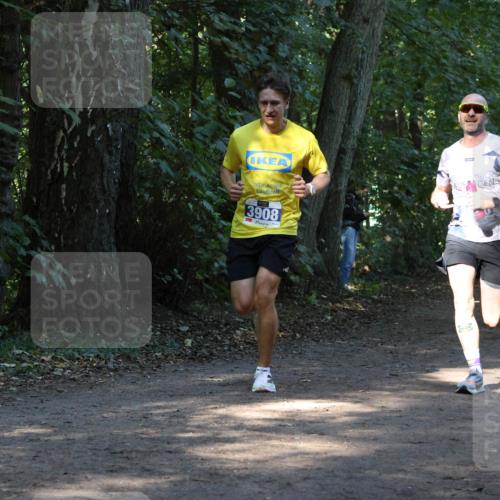 28.09.2025 - 33. Volkslauf durch das schöne Alstertal Strokosch-Dieckow http://msf.ph/oto/8968593 28.09.2025 11:09:18 Laufen 3908 meine-sportfotos.de