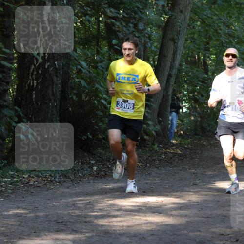 28.09.2025 - 33. Volkslauf durch das schöne Alstertal Strokosch-Dieckow http://msf.ph/oto/8968594 28.09.2025 11:09:18 Laufen 3908 meine-sportfotos.de