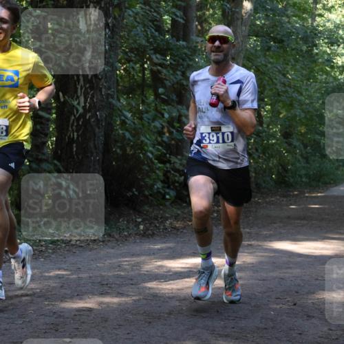 28.09.2025 - 33. Volkslauf durch das schöne Alstertal Strokosch-Dieckow http://msf.ph/oto/8968595 28.09.2025 11:09:19 Laufen 3908, 3910 meine-sportfotos.de
