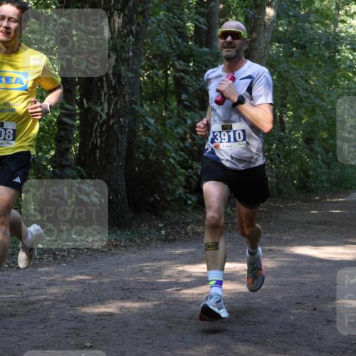 28.09.2025 - 33. Volkslauf durch das schöne Alstertal Strokosch-Dieckow http://msf.ph/oto/8968596 28.09.2025 11:09:19 Laufen 3908, 3910 meine-sportfotos.de
