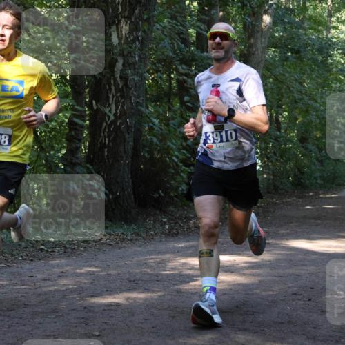 28.09.2025 - 33. Volkslauf durch das schöne Alstertal Strokosch-Dieckow http://msf.ph/oto/8968597 28.09.2025 11:09:19 Laufen 3908, 3910 meine-sportfotos.de