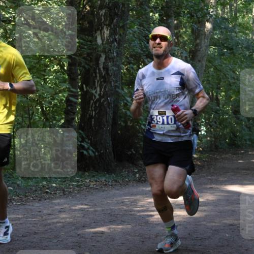 28.09.2025 - 33. Volkslauf durch das schöne Alstertal Strokosch-Dieckow http://msf.ph/oto/8968599 28.09.2025 11:09:19 Laufen 3908, 3910, 1 meine-sportfotos.de