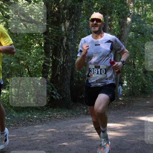 28.09.2025 - 33. Volkslauf durch das schöne Alstertal Strokosch-Dieckow http://msf.ph/oto/8968600 28.09.2025 11:09:19 Laufen 3908, 3910 meine-sportfotos.de