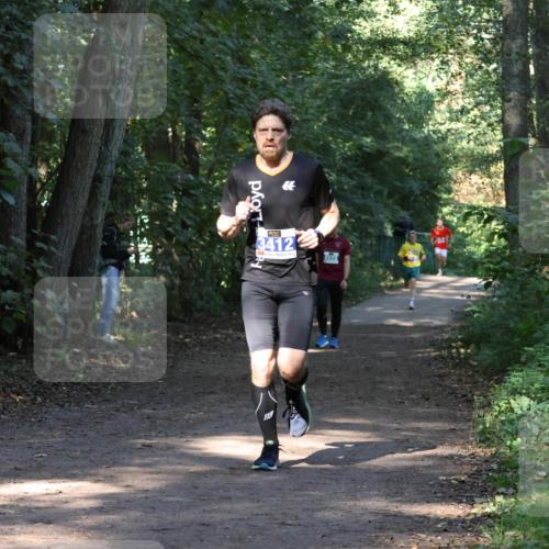 28.09.2025 - 33. Volkslauf durch das schöne Alstertal Strokosch-Dieckow http://msf.ph/oto/8968601 28.09.2025 11:09:46 Laufen  meine-sportfotos.de