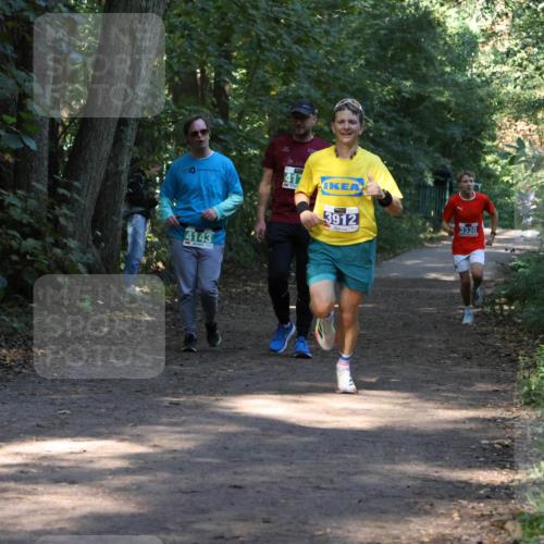 28.09.2025 - 33. Volkslauf durch das schöne Alstertal Strokosch-Dieckow http://msf.ph/oto/8968606 28.09.2025 11:09:57 Laufen 4143, 3912, 3330 meine-sportfotos.de