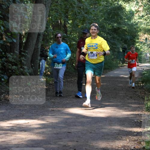 28.09.2025 - 33. Volkslauf durch das schöne Alstertal Strokosch-Dieckow http://msf.ph/oto/8968608 28.09.2025 11:09:57 Laufen 4143, 3912, 330 meine-sportfotos.de