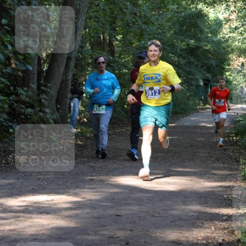 28.09.2025 - 33. Volkslauf durch das schöne Alstertal Strokosch-Dieckow http://msf.ph/oto/8968609 28.09.2025 11:09:57 Laufen 4143, 3912, 3330 meine-sportfotos.de