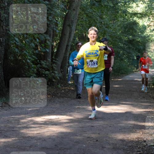 28.09.2025 - 33. Volkslauf durch das schöne Alstertal Strokosch-Dieckow http://msf.ph/oto/8968610 28.09.2025 11:09:58 Laufen 72, 4143, 3912 meine-sportfotos.de