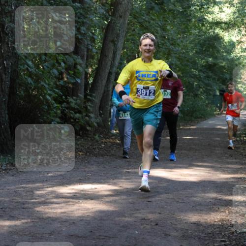 28.09.2025 - 33. Volkslauf durch das schöne Alstertal Strokosch-Dieckow http://msf.ph/oto/8968612 28.09.2025 11:09:58 Laufen 4143, 3912, 72, 3330 meine-sportfotos.de