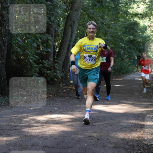 28.09.2025 - 33. Volkslauf durch das schöne Alstertal Strokosch-Dieckow http://msf.ph/oto/8968613 28.09.2025 11:09:58 Laufen 3912, 172, 3330 meine-sportfotos.de