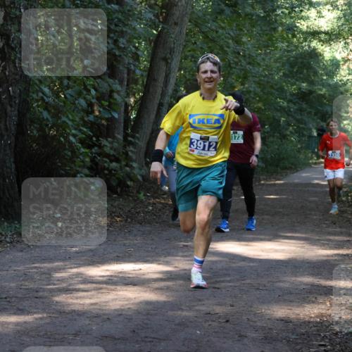 28.09.2025 - 33. Volkslauf durch das schöne Alstertal Strokosch-Dieckow http://msf.ph/oto/8968614 28.09.2025 11:09:58 Laufen 3912, 172, 3330 meine-sportfotos.de
