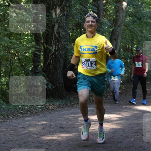28.09.2025 - 33. Volkslauf durch das schöne Alstertal Strokosch-Dieckow http://msf.ph/oto/8968618 28.09.2025 11:09:59 Laufen 3912, 4143, 4172 meine-sportfotos.de