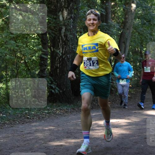 28.09.2025 - 33. Volkslauf durch das schöne Alstertal Strokosch-Dieckow http://msf.ph/oto/8968619 28.09.2025 11:09:59 Laufen 3912, 4143, 4172, 3330 meine-sportfotos.de