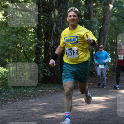 28.09.2025 - 33. Volkslauf durch das schöne Alstertal Strokosch-Dieckow http://msf.ph/oto/8968620 28.09.2025 11:09:59 Laufen 3912, 172 meine-sportfotos.de