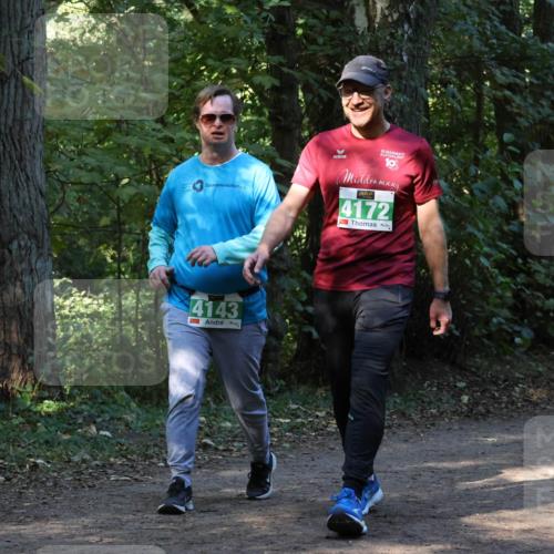 28.09.2025 - 33. Volkslauf durch das schöne Alstertal Strokosch-Dieckow http://msf.ph/oto/8968629 28.09.2025 11:10:04 Laufen 4143, 10, 4172 meine-sportfotos.de