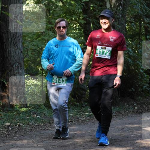 28.09.2025 - 33. Volkslauf durch das schöne Alstertal Strokosch-Dieckow http://msf.ph/oto/8968632 28.09.2025 11:10:04 Laufen 4143, 10, 4172 meine-sportfotos.de