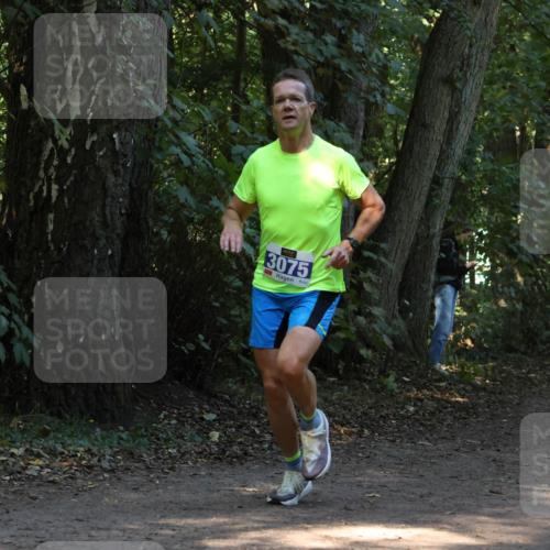 28.09.2025 - 33. Volkslauf durch das schöne Alstertal Strokosch-Dieckow http://msf.ph/oto/8968639 28.09.2025 11:10:19 Laufen 3075 meine-sportfotos.de