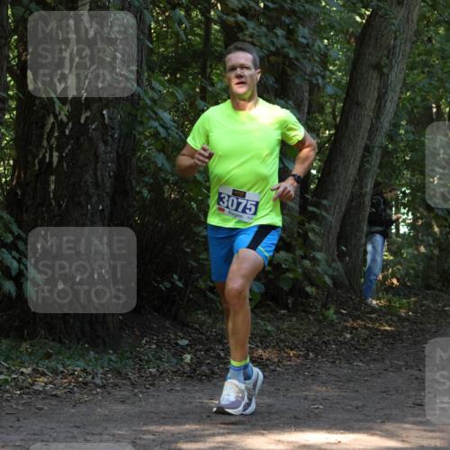 28.09.2025 - 33. Volkslauf durch das schöne Alstertal Strokosch-Dieckow http://msf.ph/oto/8968640 28.09.2025 11:10:19 Laufen 3075 meine-sportfotos.de